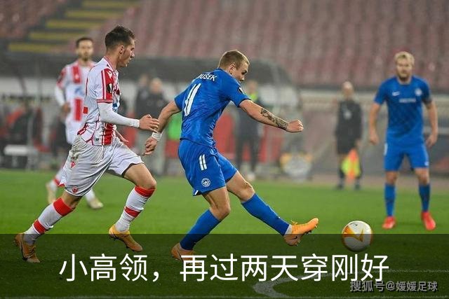 小高领，再过两天穿刚好