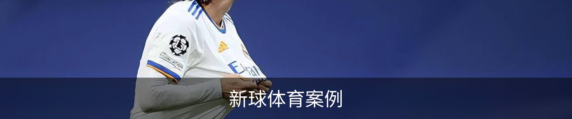 新球体育案例