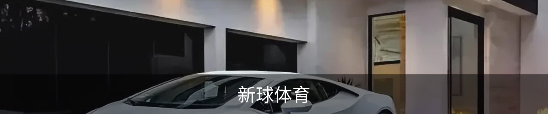 即时比分-比分直播-足球比分直播-新球体育-探球体育